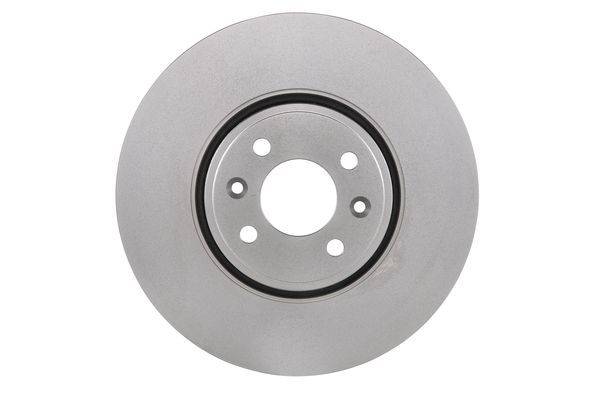 Bosch BD1076 Fren diski; ön